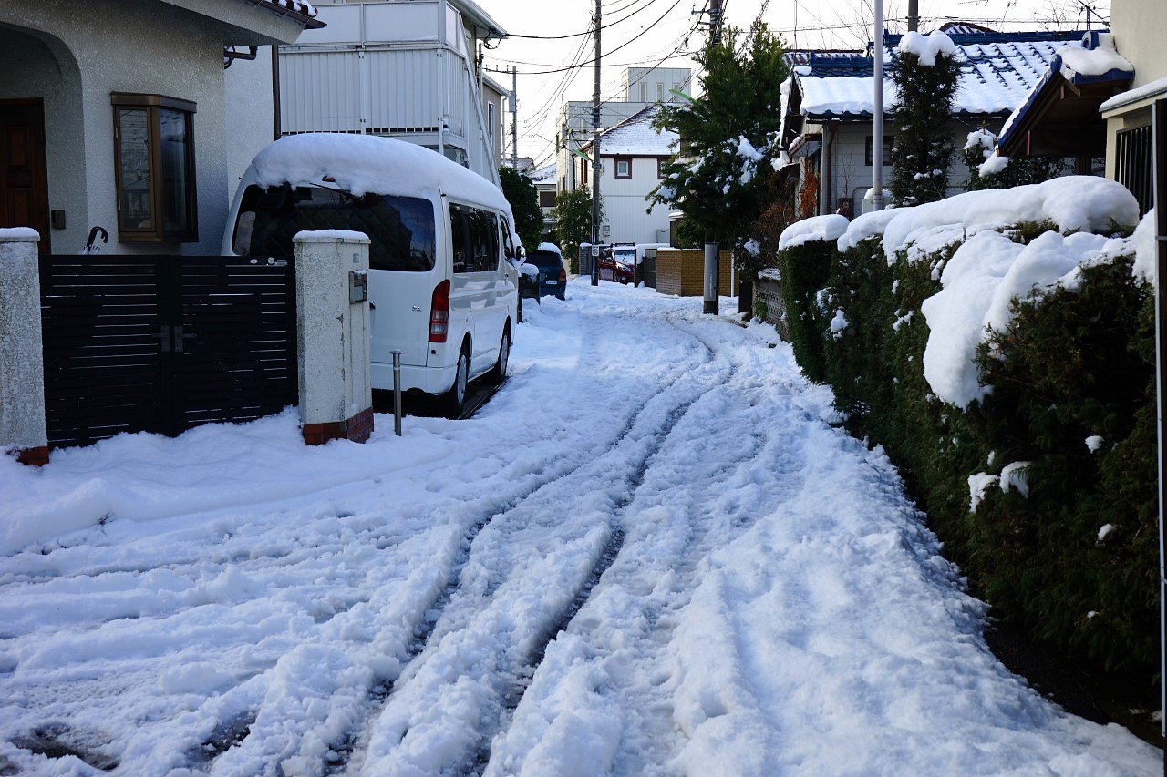 雪の朝