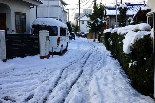 雪の朝