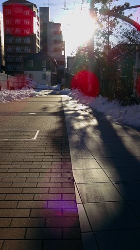 【光】賑やか過ぎる朝