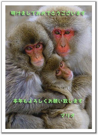 明けましておめでとうございます