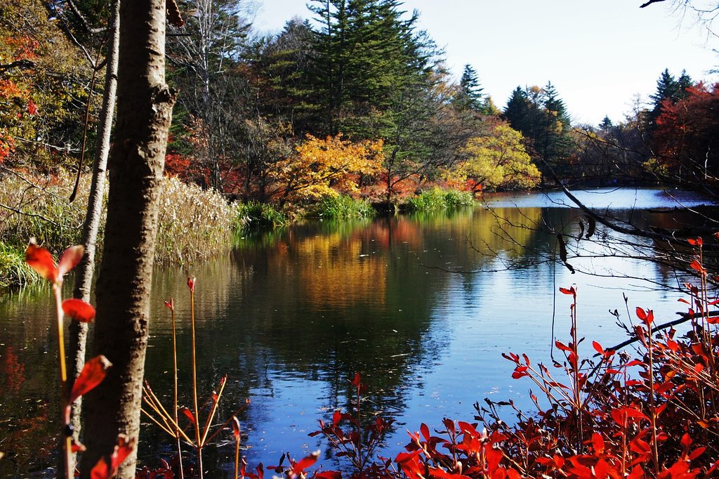 軽井沢の紅葉