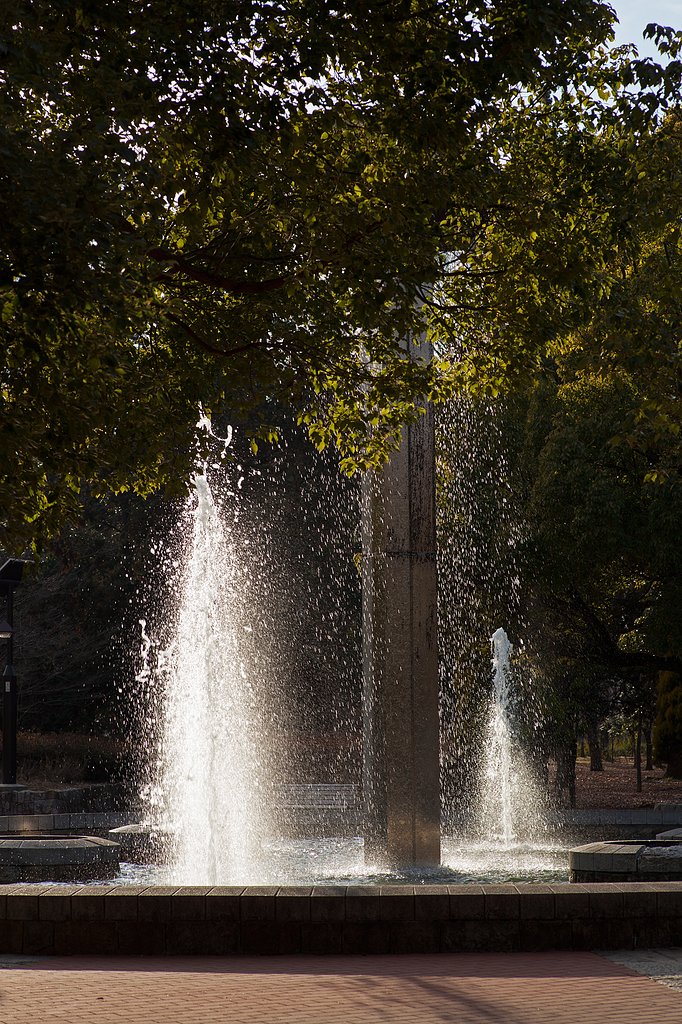 Carl Zeiss Planar T* 85mm F1.4 ZE