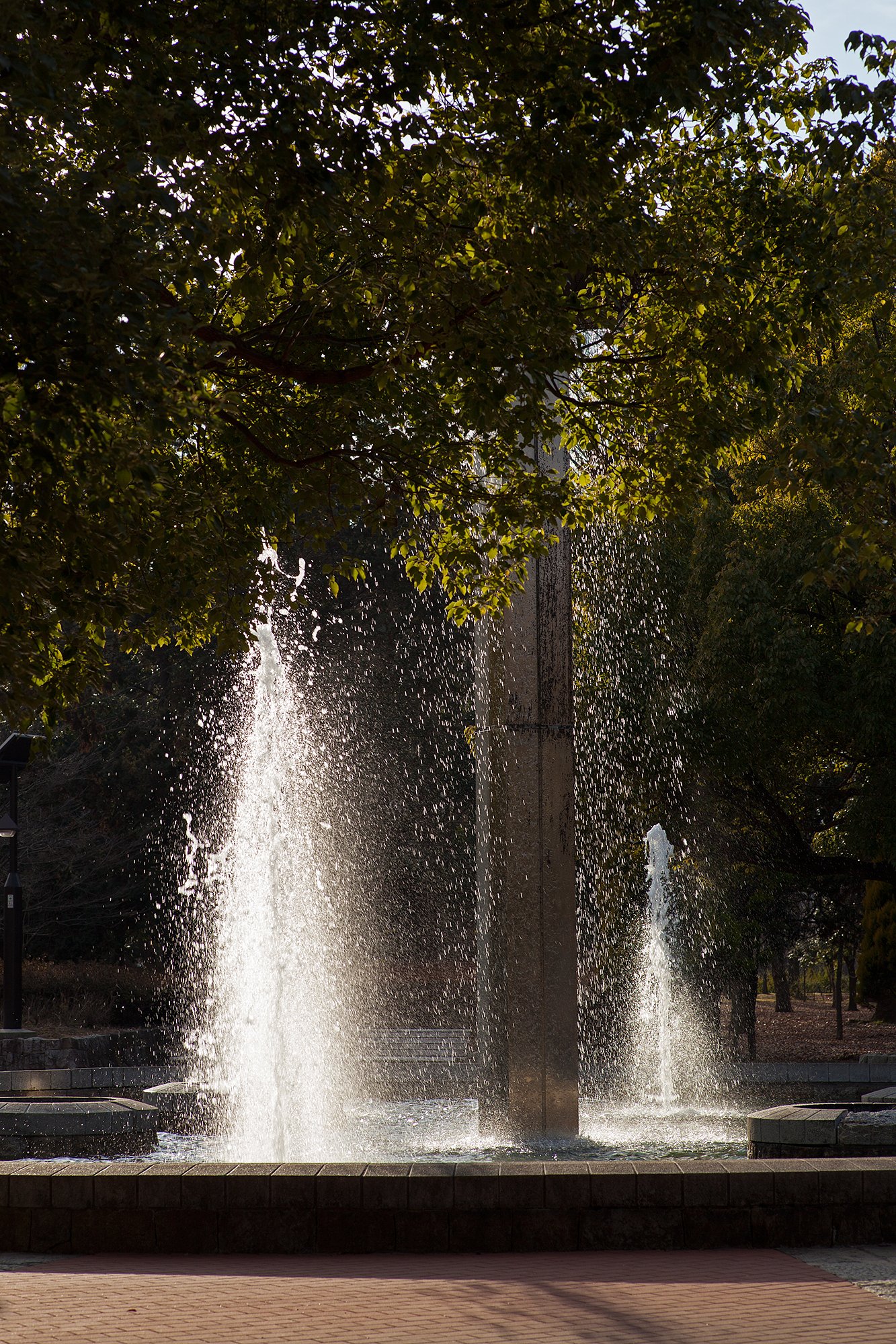 Carl Zeiss Planar T* 85mm F1.4 ZE
