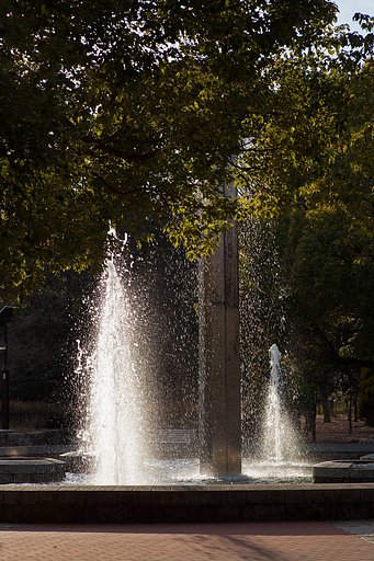 Carl Zeiss Planar T* 85mm F1.4 ZE