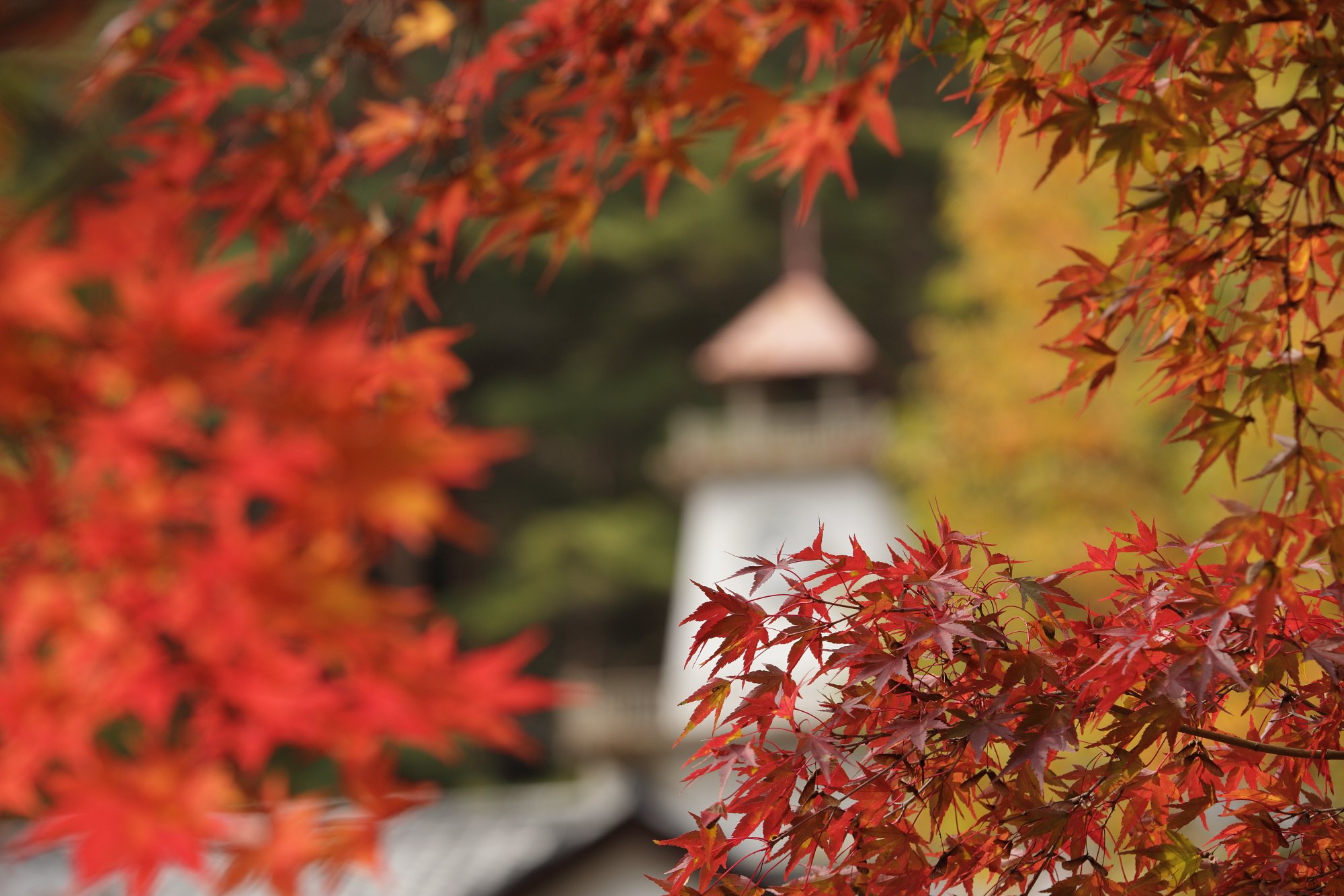 秋の鐘・鳴りて