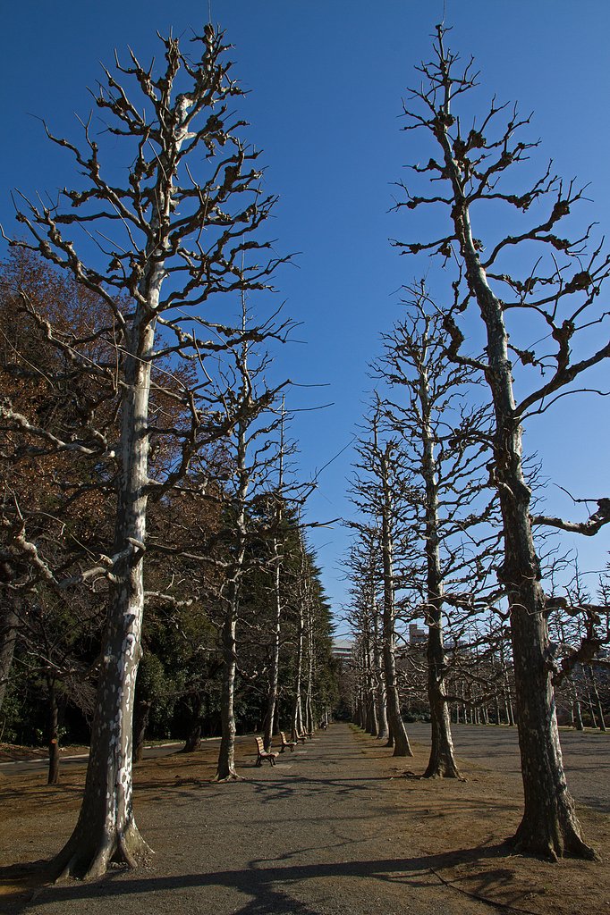 EF-s 15-85mm F3.5-5.6 IS USM