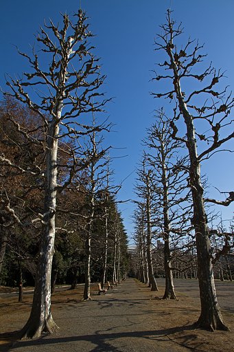 EF-s 15-85mm F3.5-5.6 IS USM