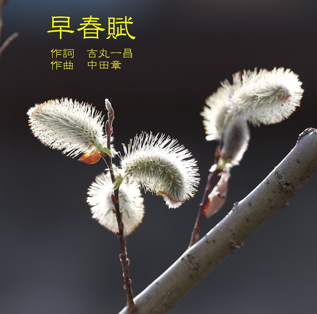 【第2回 この一曲】早春賦