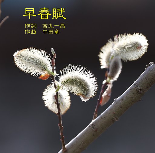 【第2回 この一曲】早春賦
