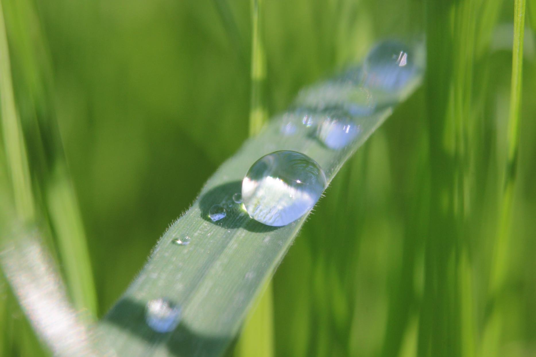 水滴まあるく