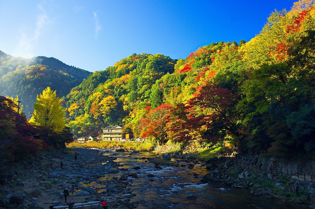 【いのち】 続く限り