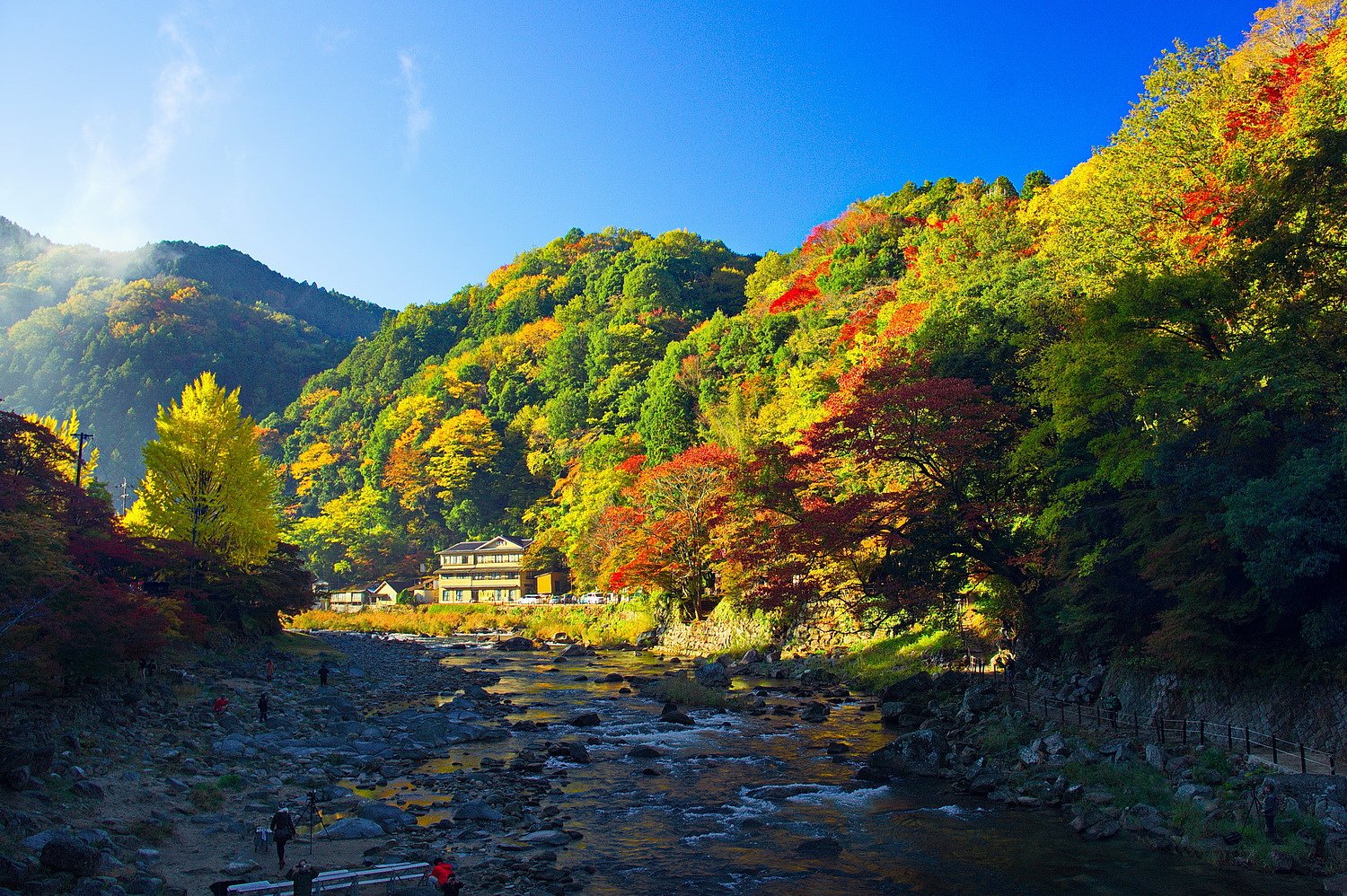 【いのち】 続く限り