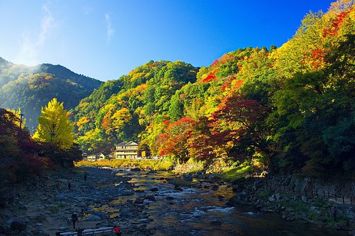 【いのち】 続く限り