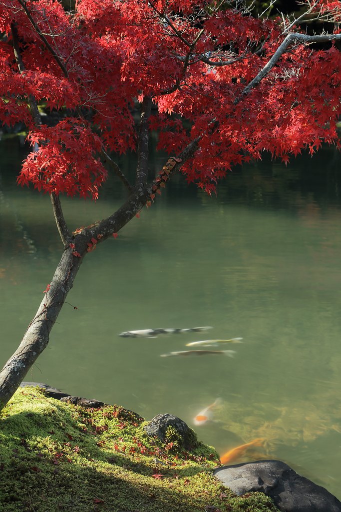 秋色満開