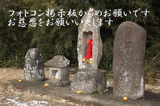 手を差し伸べてください