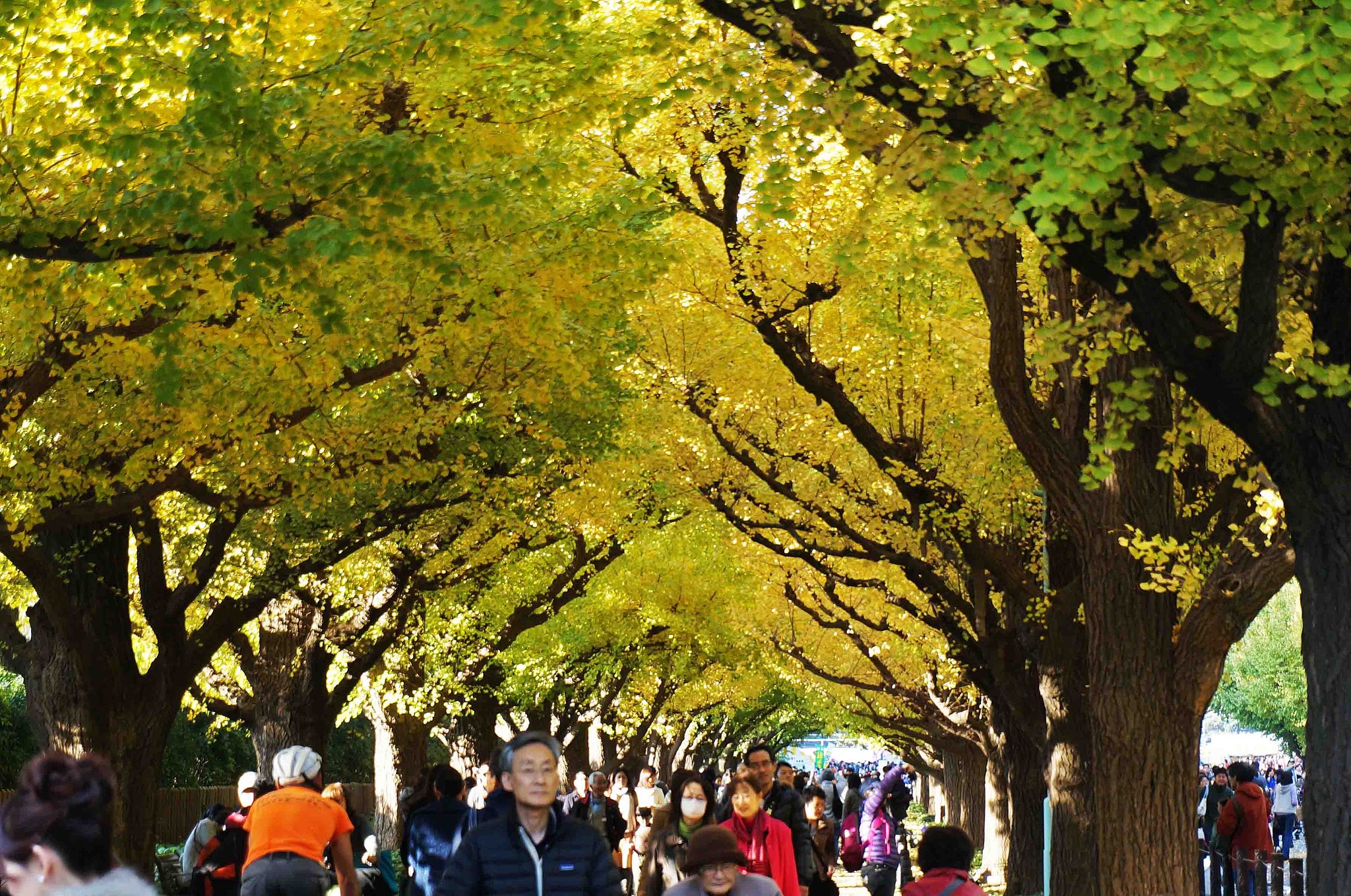 【　トンネル　】