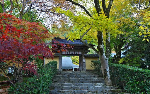 大原の秋