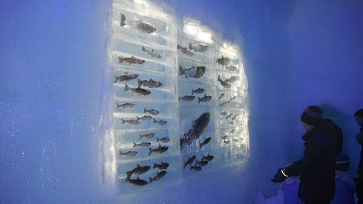 お魚さん