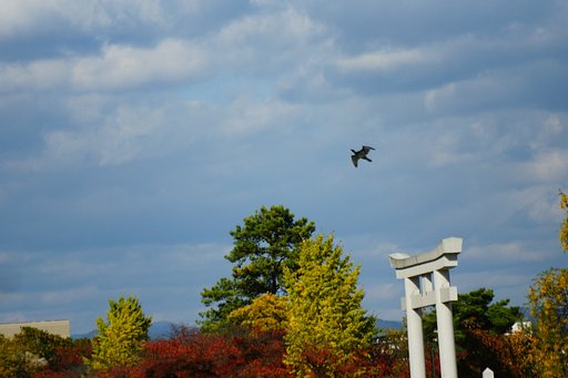 紅葉と野鳥