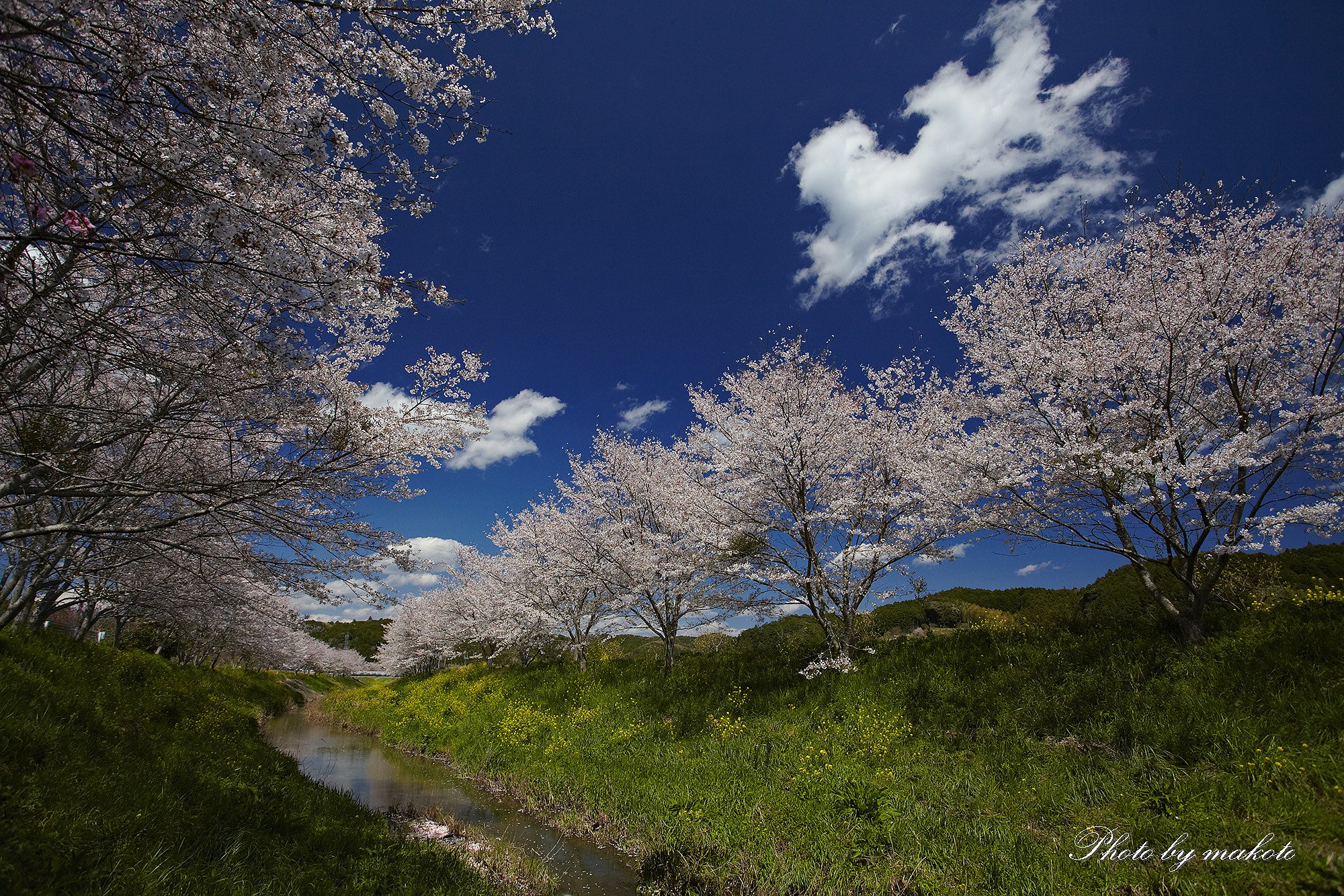 春の小川