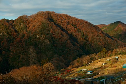 NOKTON 50mm F1.1
