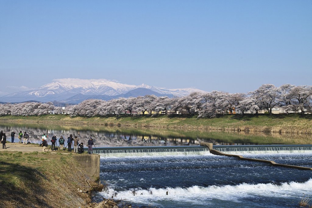 一目千本桜