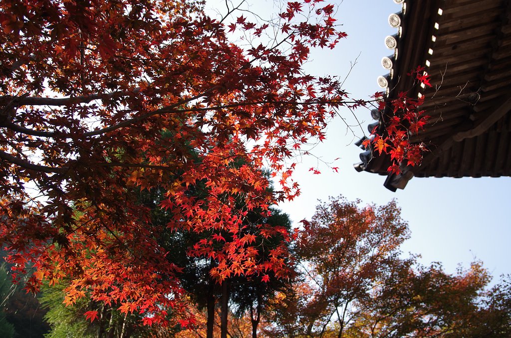 宮島３２