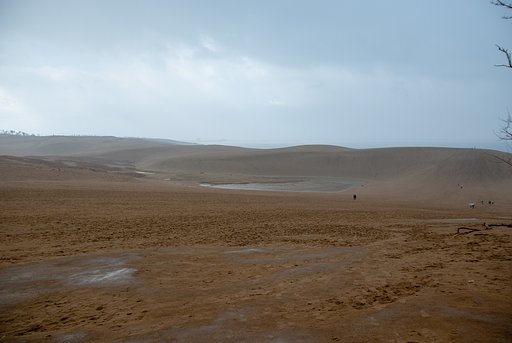 雨の鳥取砂丘・・。