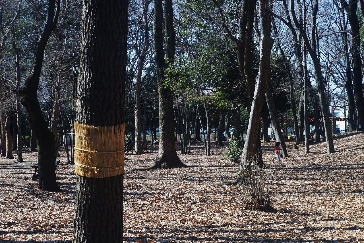 梅の香に誘われて・・・蘆花恒春園(ろかこうしゅんえん） 