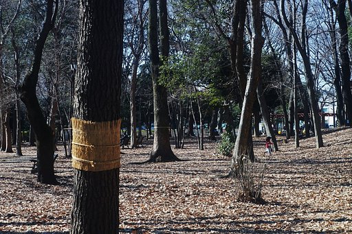 梅の香に誘われて・・・蘆花恒春園(ろかこうしゅんえん） 