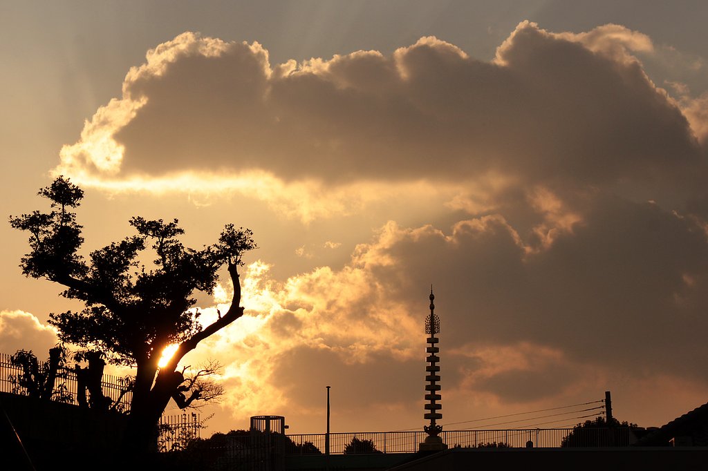 夕雲