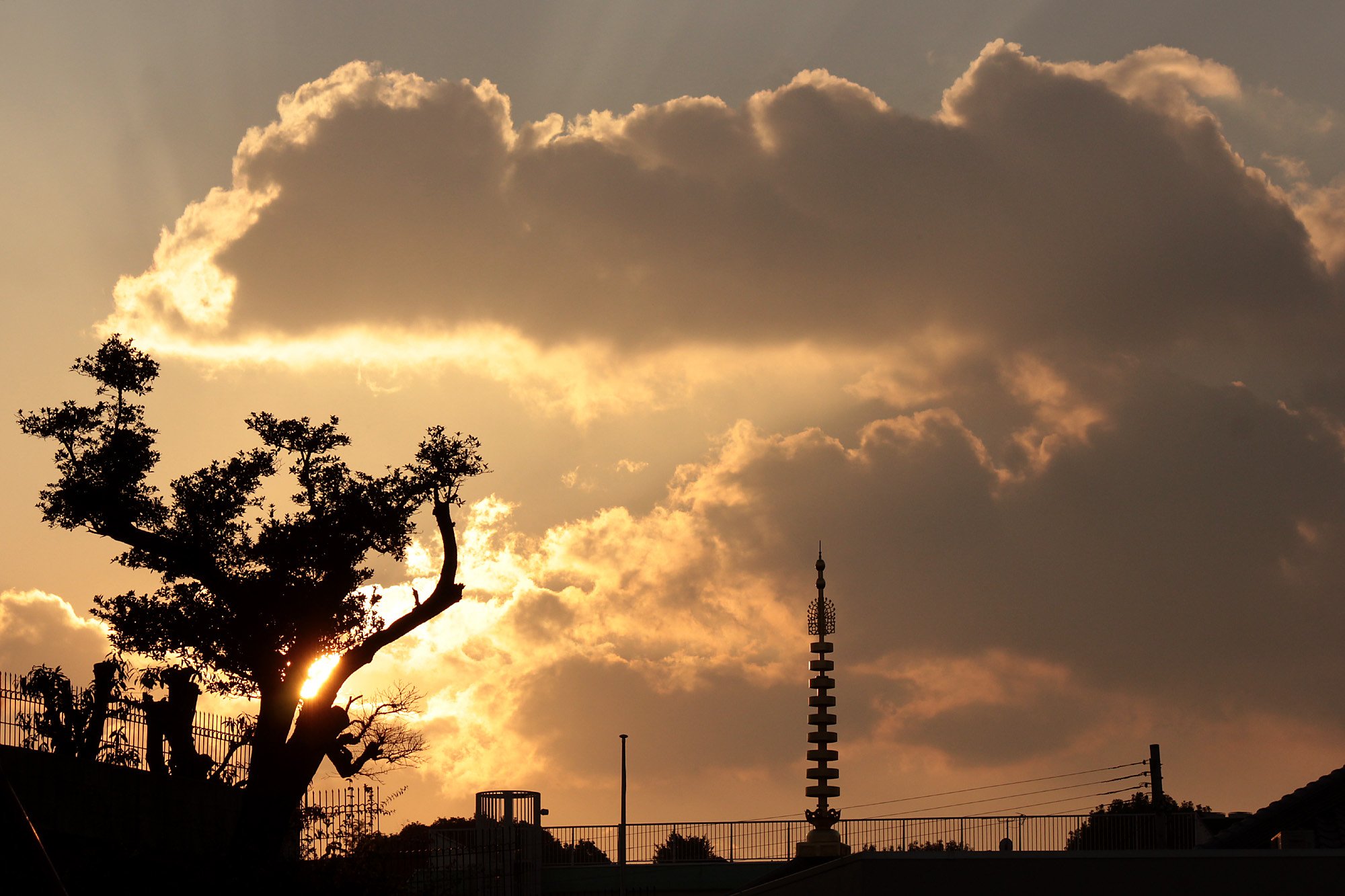 夕雲
