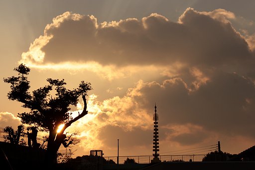 夕雲