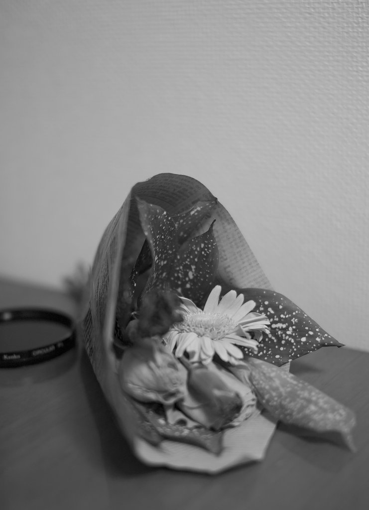 朽ちてゆくもの＿村八分はいや～ん