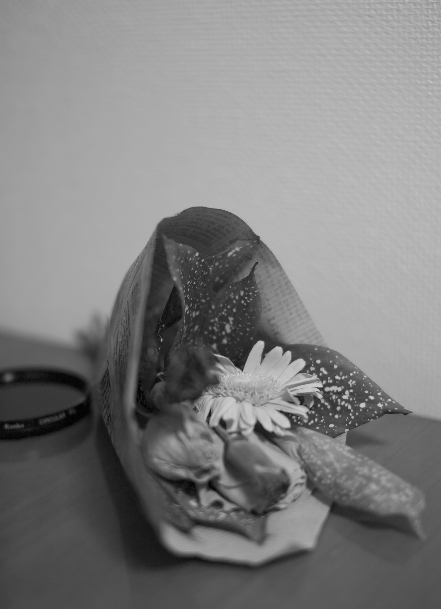 朽ちてゆくもの＿村八分はいや～ん