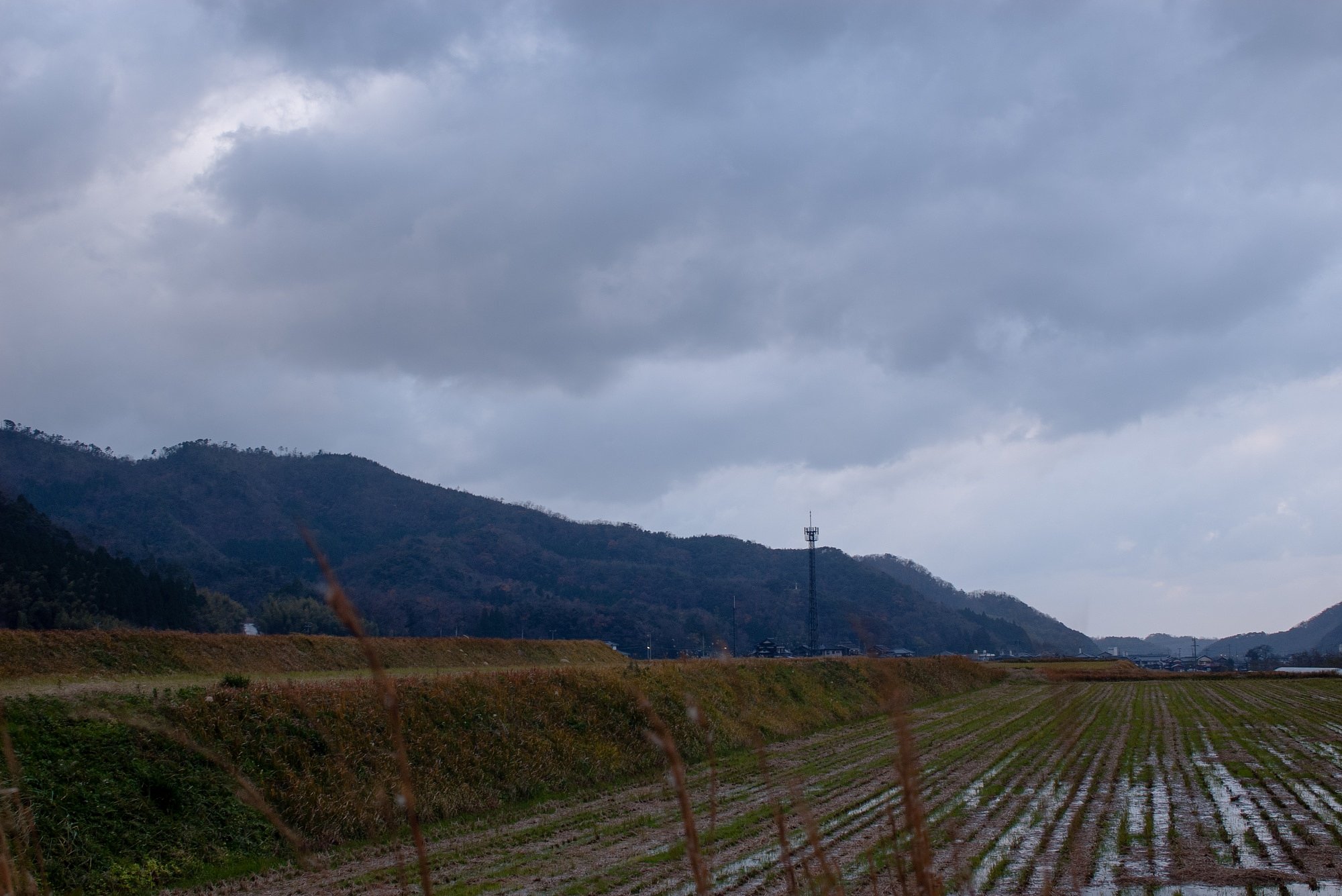 朝からの雨も止みました・・。