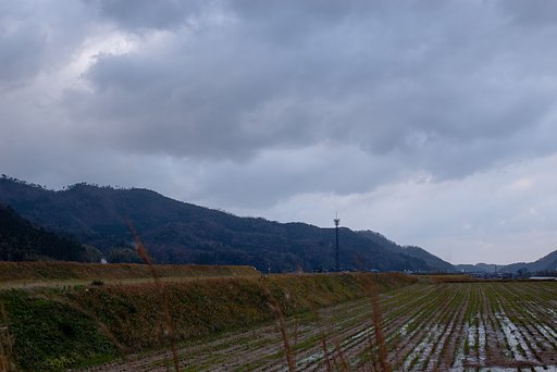 朝からの雨も止みました・・。