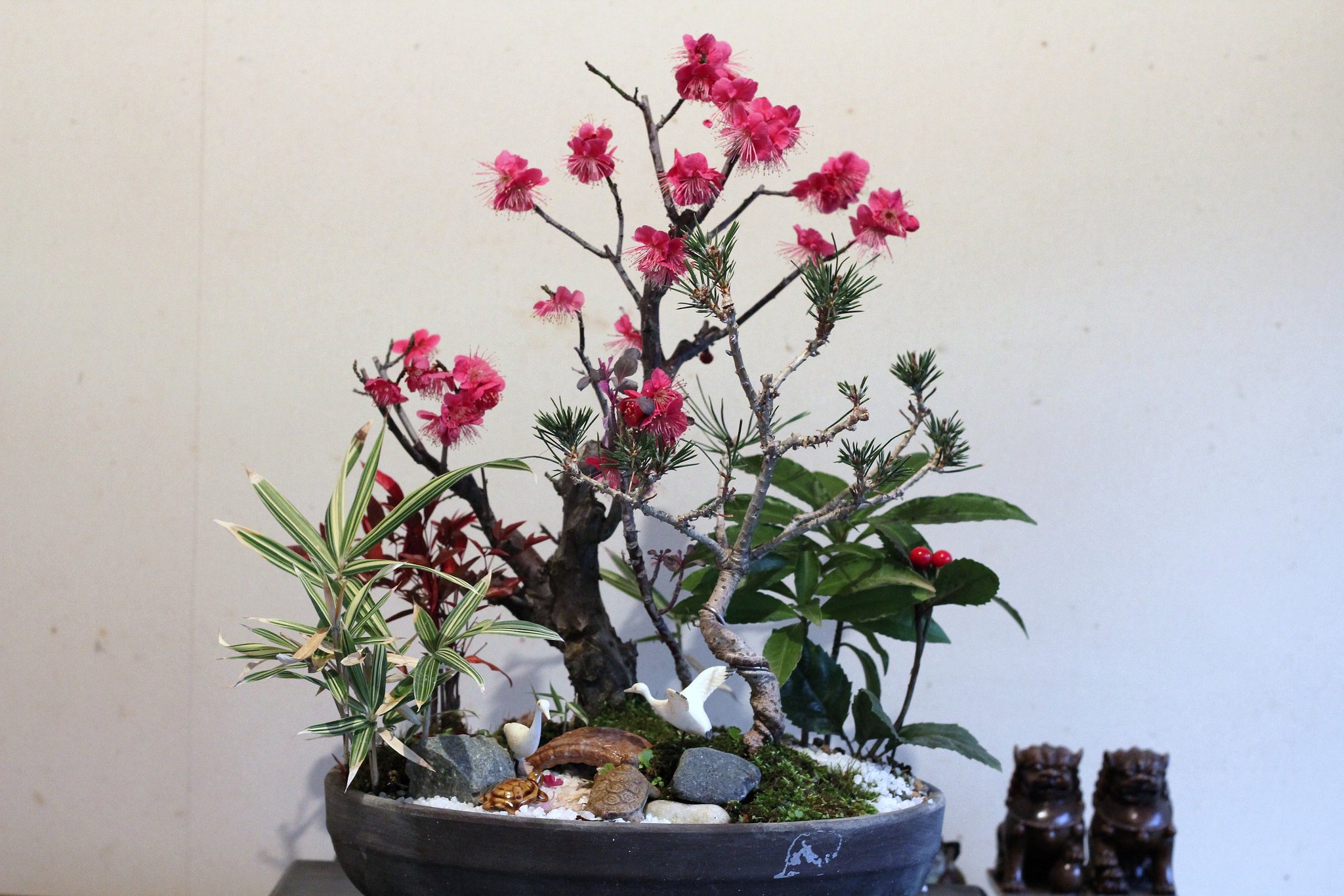紅梅