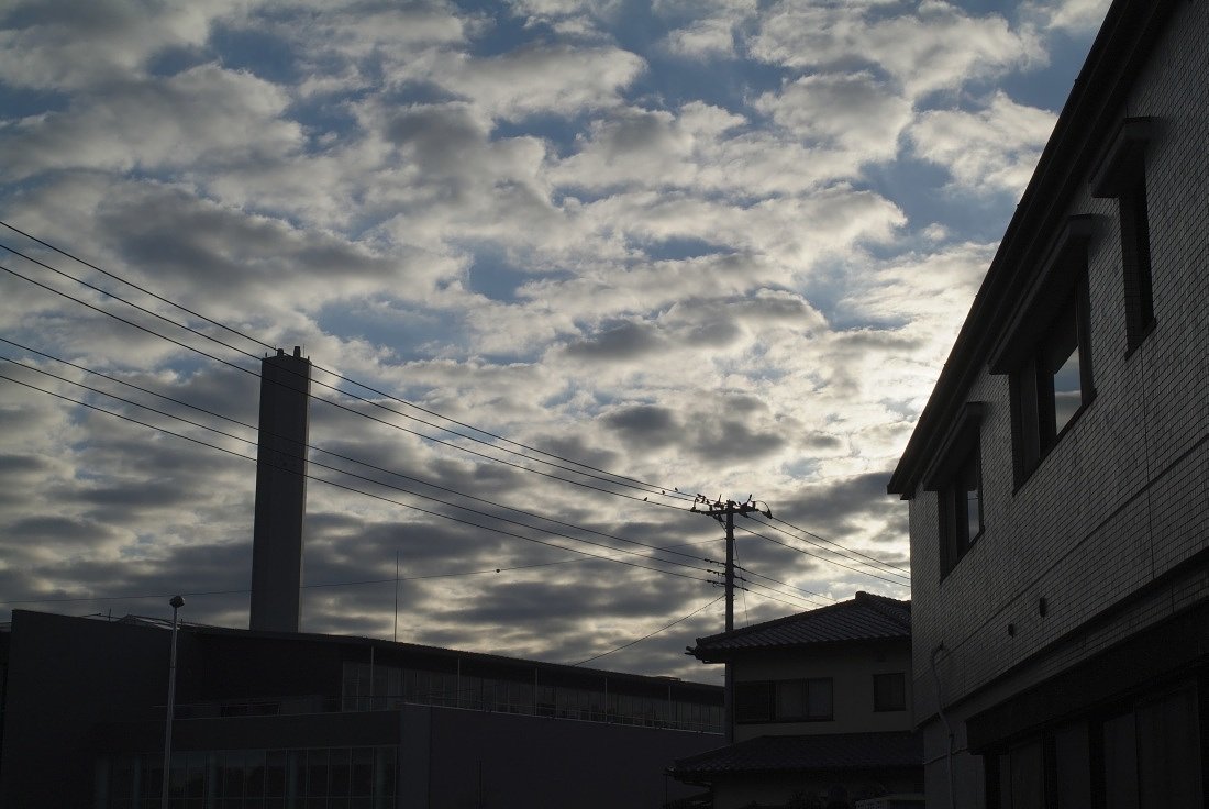 早朝