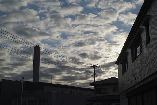 早朝