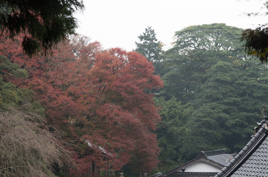 山寺１１