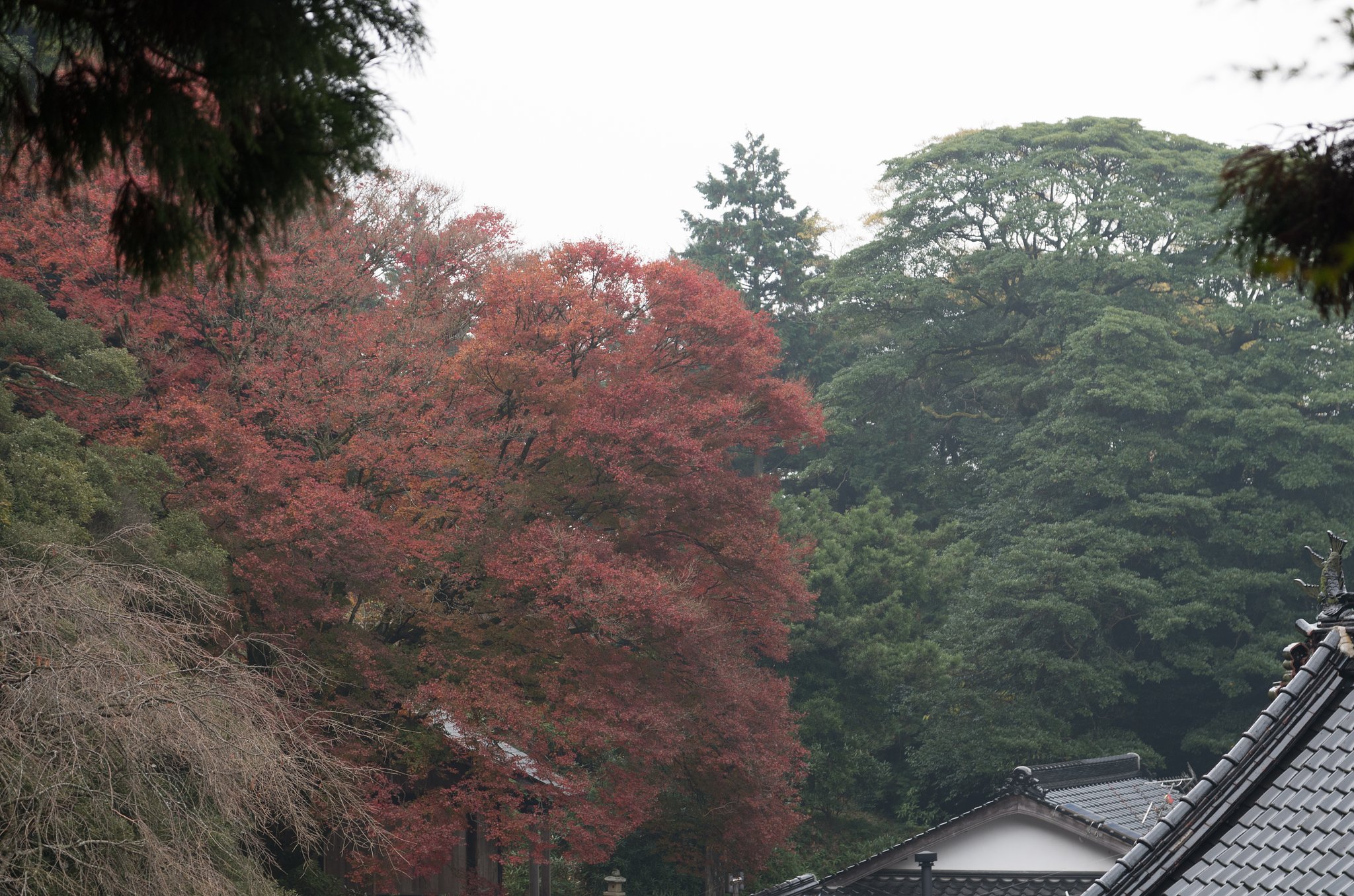 山寺１１