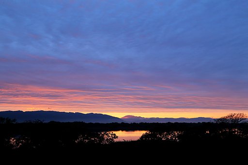 5月11日の写真