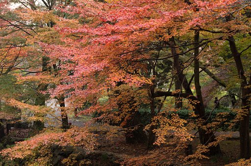 大寧寺７