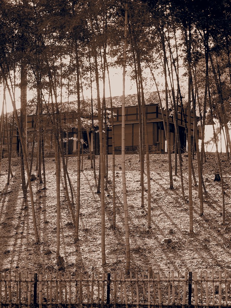 旧新井家住宅