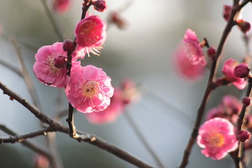 【光】早春の輝き