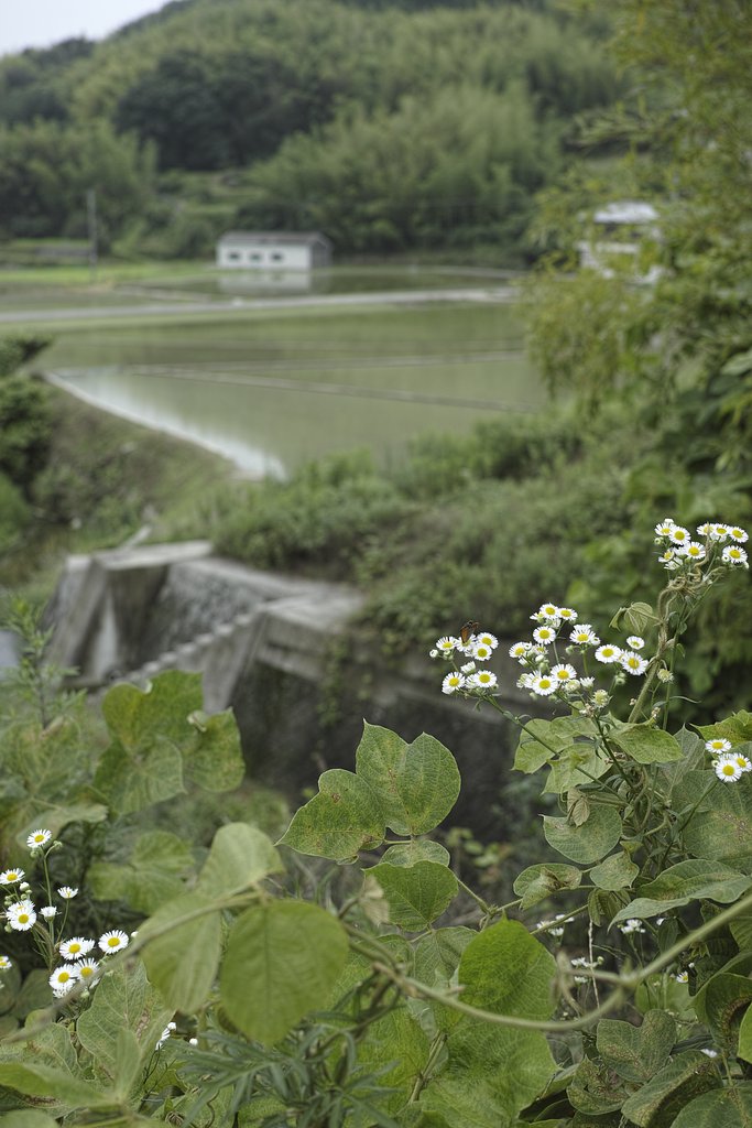 二歩写真