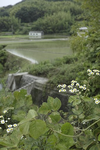 二歩写真
