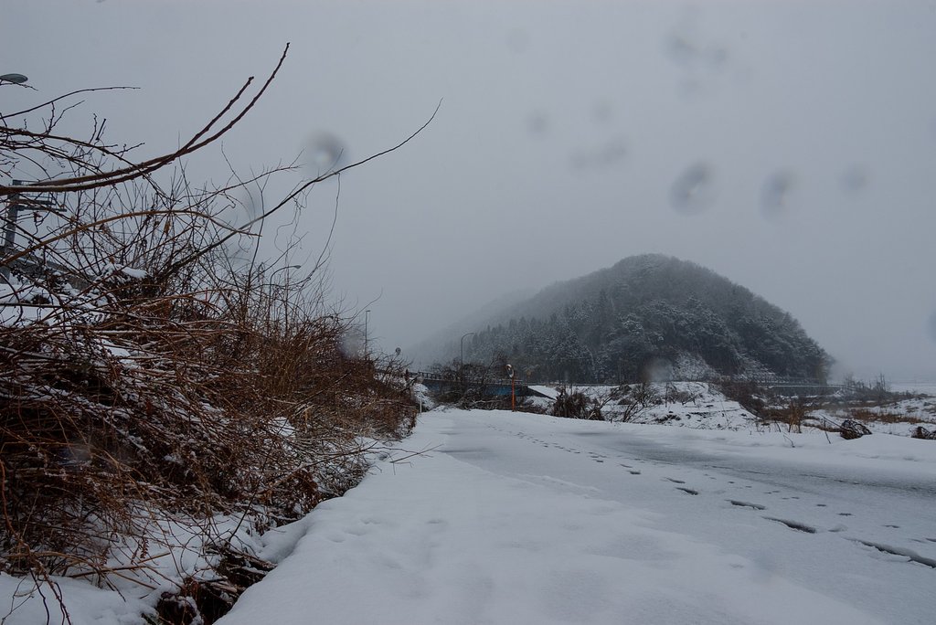 ボタン雪が・・。