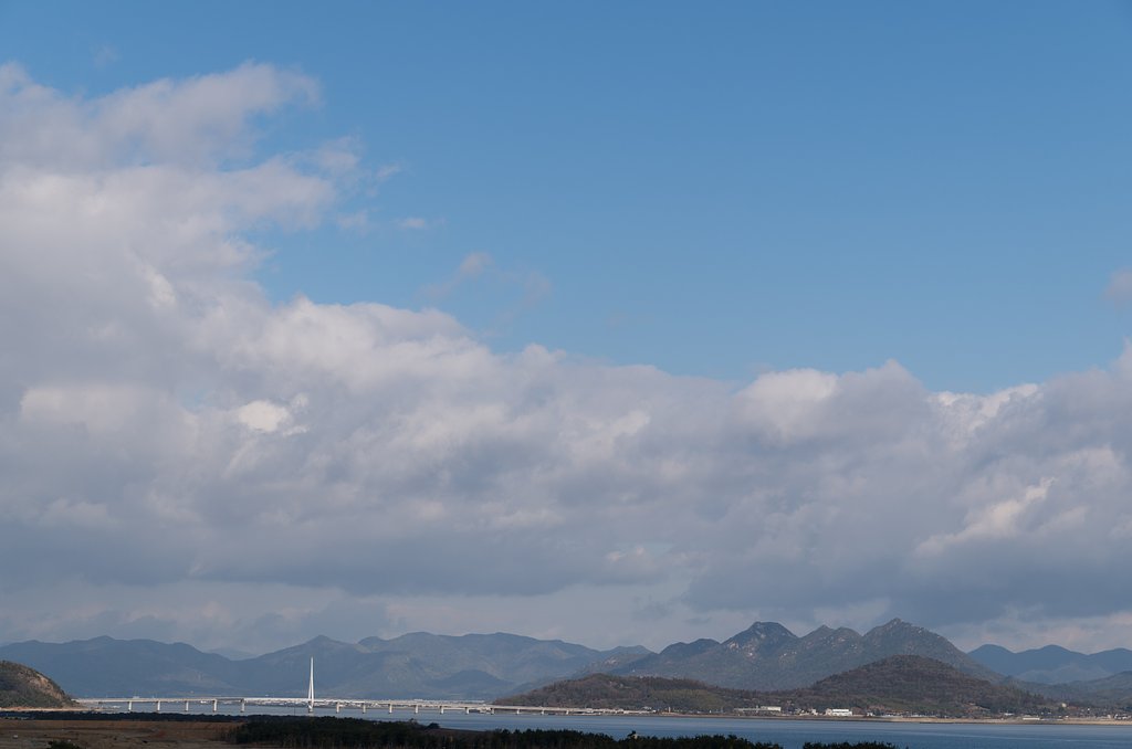 斜張橋
